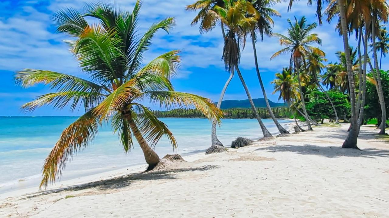 Villas Paradiso Bio-Resort Las Galeras Eksteriør bilde